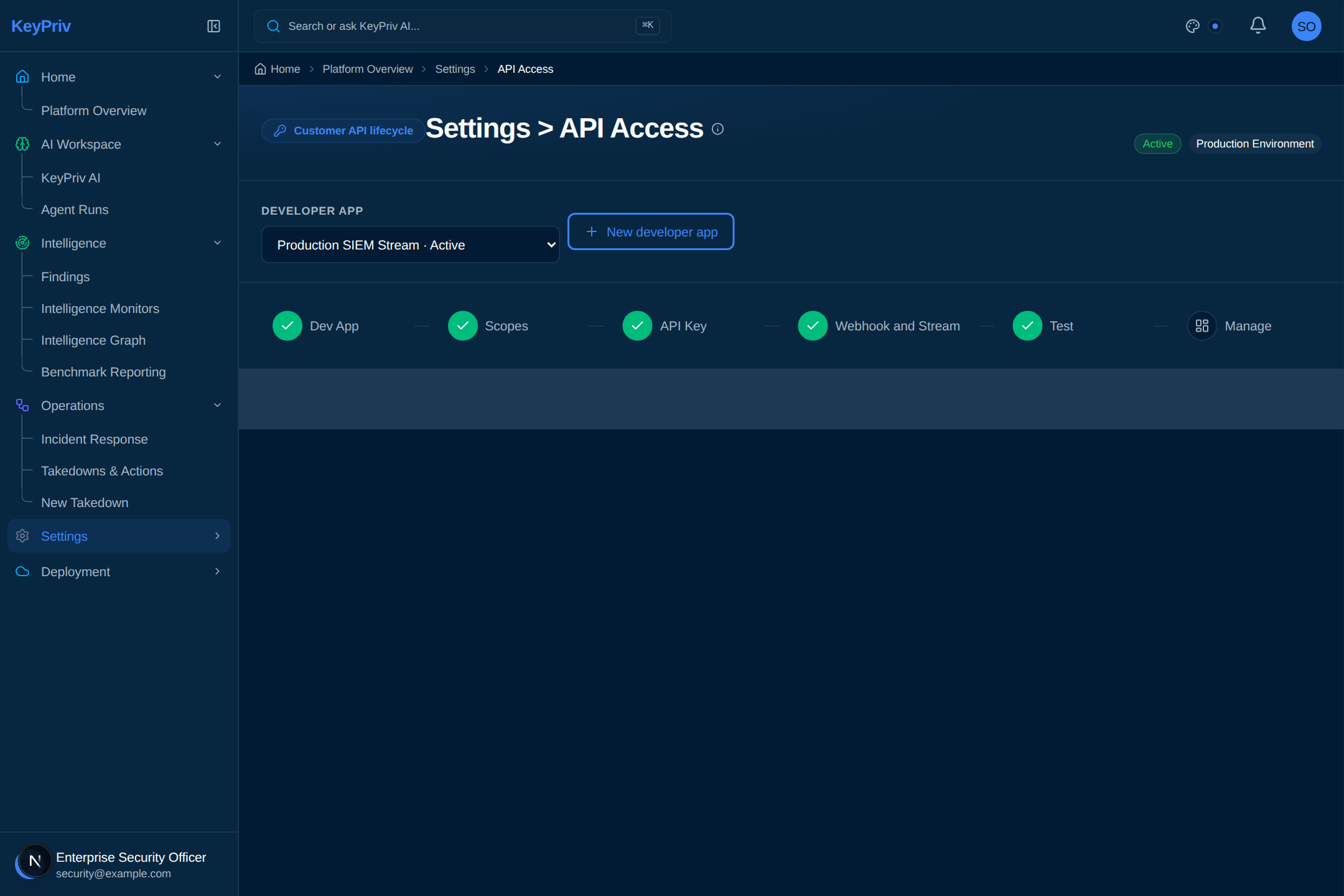 API Access Overview & Lifecycle Rail